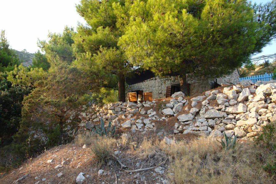 A Small Stone House By The Sea, In A Wineyard Nerezisca المظهر الخارجي الصورة